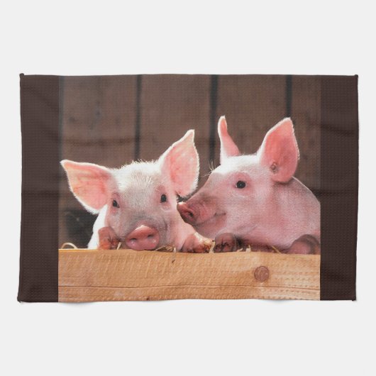 Schattigee roze biggen dierenfoto theedoek (Horizontaal)