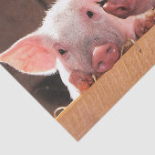 Schattigee roze biggen dierenfoto tissuepapier (Detail)