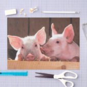 Schattigee roze biggen dierenfoto tissuepapier (Craft)