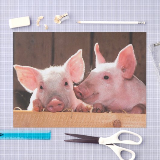 Schattigee roze biggen dierenfoto tissuepapier (Craft)