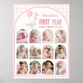 Schattigee Roze Gekke Gans Eerste Jaar Foto Milest Poster (Voorkant)