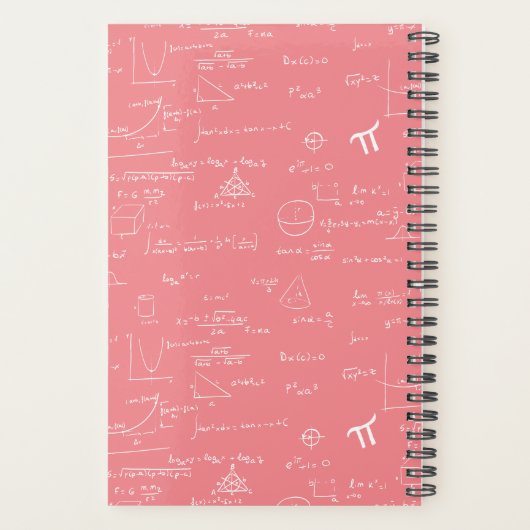 Schattigee Roze Wiskunde Vergelijkingsformules Planner (Achterkant)