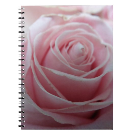 Schattigee Rozen bloem Notitieboek (Voorkant)
