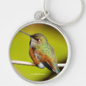 Schattigee Rufous Hummingbird op een Twig Sleutelhanger (Voorkant)