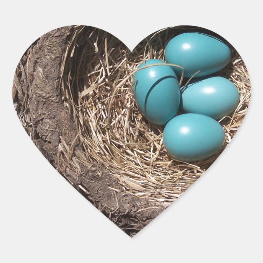 Schattigee rustieke Vogelnestje Blue Robin Eggs Hart Sticker (Voorkant)