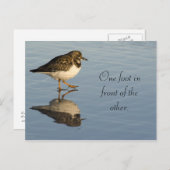 Schattigee Sadpiper Bird Motivatie Briefkaart (Voorkant / Achterkant)