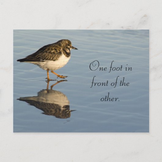 Schattigee Sadpiper Bird Motivatie Briefkaart (Voorkant)