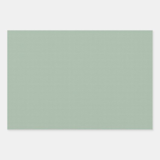 Schattigee Sage Green Gingham en stippen Simple Cl Inpakpapier Vel (Voorkant 2)