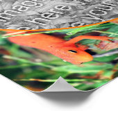 Schattigee Salamander gepersonaliseerde Creëer Uw Poster (Hoek)