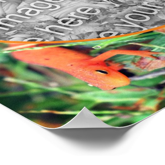 Schattigee Salamander gepersonaliseerde Creëer Uw Poster (Hoek)