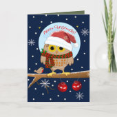 Schattigee Santa hat Owl & aangepaste tekst Feestdagen Kaart (Voorkant)