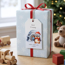 Schattigee Santa Hat Penguin Sneeuwvlokken Kinder