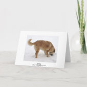 Schattigee Santa & Reindeer Search & Rescue Dog Feestdagen Kaart (Achterkant)