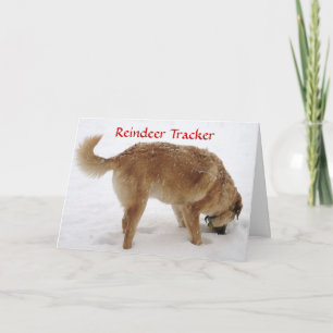 Schattigee Santa & Reindeer Search & Rescue Dog Feestdagen Kaart