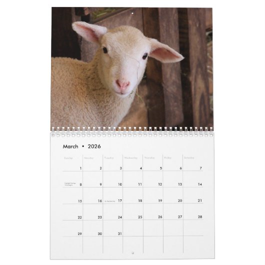 Schattigee schapenkalender kalender (Mar 2026)