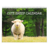 Schattigee schapenkalender kalender (Hoes)