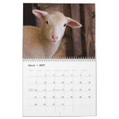 Schattigee schapenkalender kalender (Mar 2027)