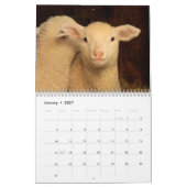 Schattigee schapenkalender kalender (Jan 2027)