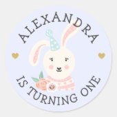 Schattigee Schattige Baby Konijn Partij Dier Ronde Sticker (Voorkant)