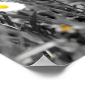 Schattigee Schattige Cat Kitten downloaden en Poster (Hoek)