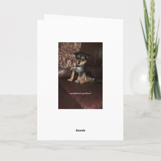 Schattigee, Schattige hond Moederdag Kaart (Achterkant)