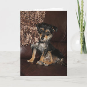Schattigee, Schattige hond Moederdag Kaart