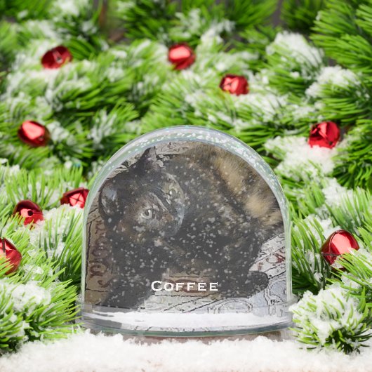 Schattigee Schattige Huisdier Kat, Hond, Baby Foto Sneeuwbol (Kerstmis)