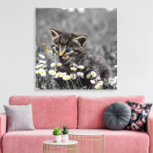 Schattigee Schattige kat kitten Canvas Afdruk (Insitu (Woonkamer))