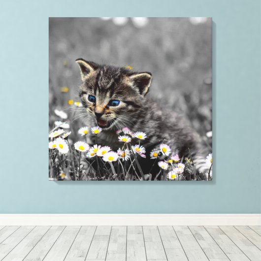 Schattigee Schattige kat kitten Canvas Afdruk (Insitu (Houten vloer))
