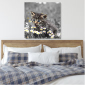 Schattigee Schattige kat kitten Canvas Afdruk (Insitu (Slaapkamer))