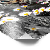 Schattigee Schattige kat kitten Foto Afdruk (Hoek)