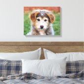 Schattigee Schattige Puppy Dog Foto Canvas Afdruk (Insitu (Slaapkamer))
