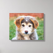 Schattigee Schattige Puppy Dog Foto Canvas Afdruk (Voorkant)