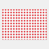 Schattigee schildpad en lieveheersbeestje verpakke inpakpapier vel (Voorkant 2)