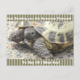 Schattigee Schildpad "Ik mis je" Gezegde Hi Post K Briefkaart