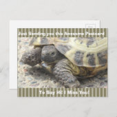 Schattigee Schildpad "Ik mis je" Gezegde Hi Post K Briefkaart (Voorkant / Achterkant)