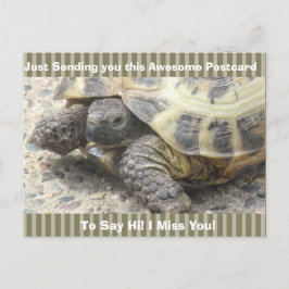 Schattigee Schildpad "Ik mis je" Gezegde Hi Post K Briefkaart