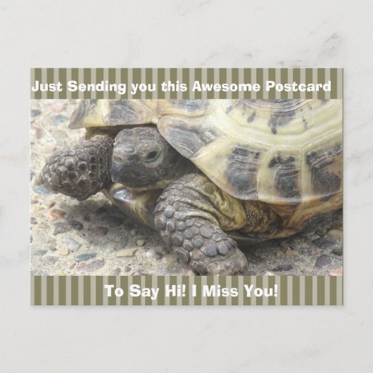 Schattigee Schildpad "Ik mis je" Gezegde Hi Post K Briefkaart (Voorkant)