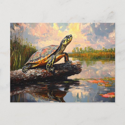Schattigee Schildpad op een Log Everglades schilde Briefkaart (Voorkant)