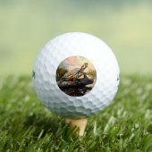 Schattigee Schildpad op een Log Everglades schilde Golfballen (Insitu Shirt)