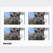 Schattigee Schnauzer Stickers (Vel)
