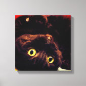 Schattigee Schotse Fold Munchkin Cat Canvas Afdruk (Voorkant)