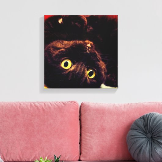 Schattigee Schotse Fold Munchkin Cat Canvas Afdruk (Insitu (Woonkamer))