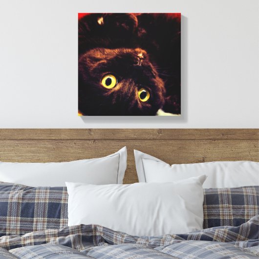 Schattigee Schotse Fold Munchkin Cat Canvas Afdruk (Insitu (Slaapkamer))