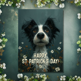 Schattigee Scruffy Dog en Shamrocks St Patrick's D Kaart