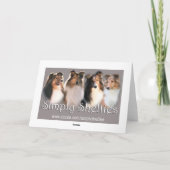 Schattigee Sheltie Verjaardag Kaart (Achterkant)