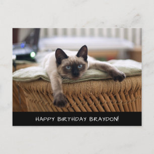 Schattigee Siamese Cat Birthday Briefkaart