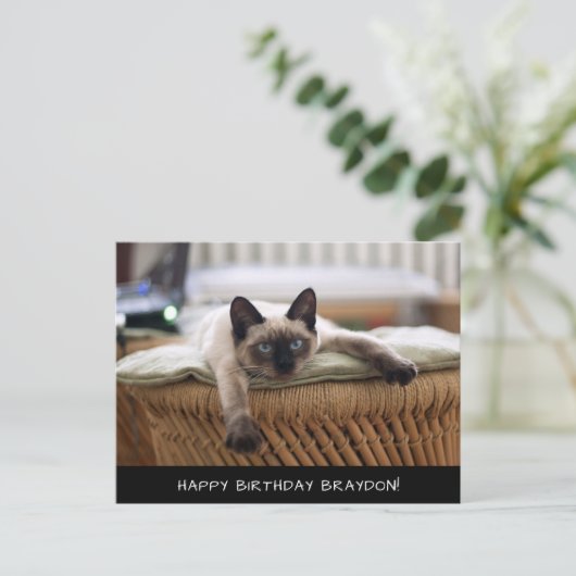 Schattigee Siamese Cat Birthday Briefkaart (Staand voorkant)