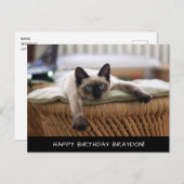 Schattigee Siamese Cat Birthday Briefkaart (Voorkant / Achterkant)