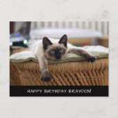 Schattigee Siamese Cat Birthday Briefkaart (Voorkant)